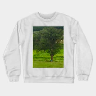 Wheelbarrow and Tree Crewneck Sweatshirt